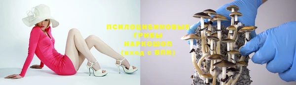 2c-b Протвино
