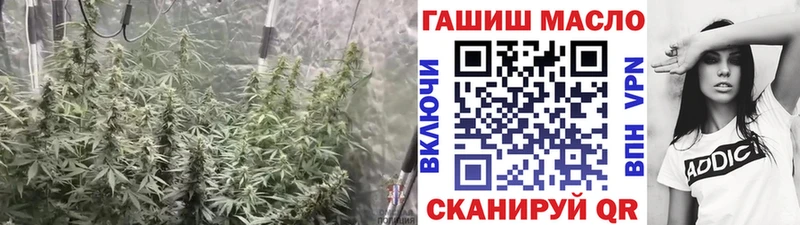 где можно купить наркотик  Сурск  Дистиллят ТГК гашишное масло 