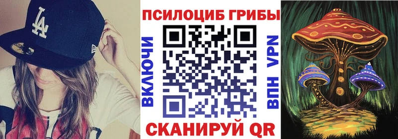 Псилоцибиновые грибы мицелий  Сурск 